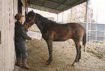 ü������ (CHERNOZEM) ����