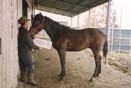 ü������ ����