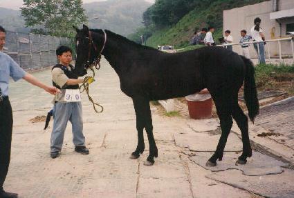 �������� ����