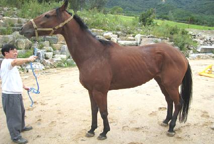 ����޸� ����