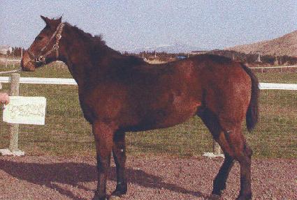 �ɿ� ����