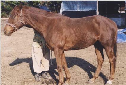 ��˻� ����