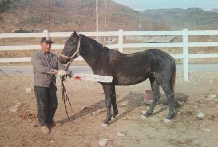 ���� ����