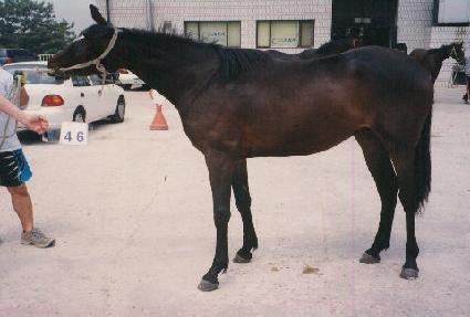 ����������ƾ ����