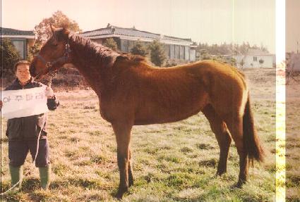 ���ָ��� ����