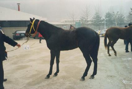 ��ũ�������� ����