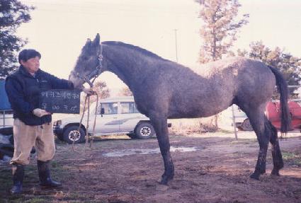 ������ ����