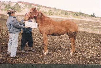 ������ ����