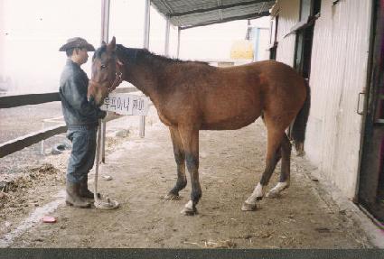 �º� ����