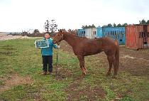 �ݺ����� (GEUMBINNARA) ����