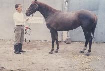 �����Ϸ� (JOEUN HARU) ����