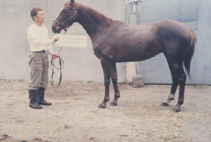 �����Ϸ� ����