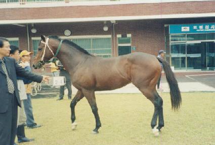 ���� ����