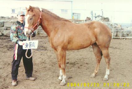 �ʵ��� ����