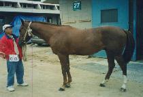 �Ŀ�����ġ (POWER SWITCH) ����