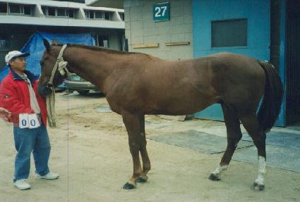 �Ŀ�����ġ ����