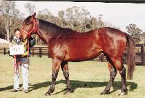 ������� (MEOTJIN BISANG) ����