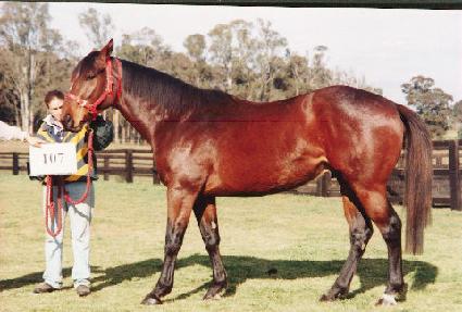 ������� ����