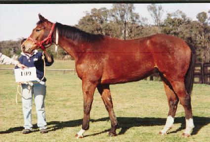 ��������������Ʈ ����