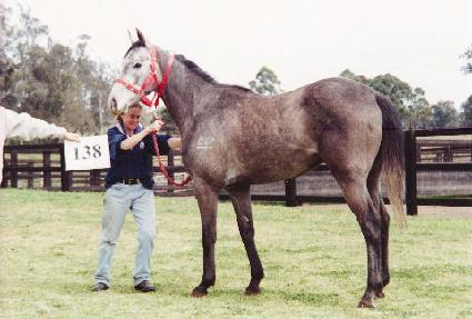 ������� ����