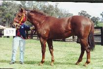 �ϼ� (ILSEONG) ����