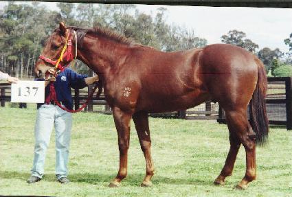 �ϼ� ����