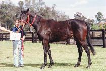 �Ҿ��������Ʈ (THOR��S DELIGHT) ����