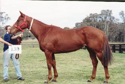 ������ ����