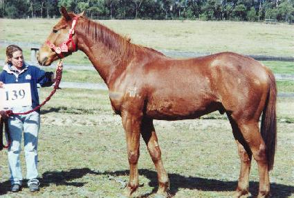 ������ ����