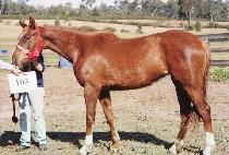 �ڼ���ä (BAKSU GALCHAE) ����