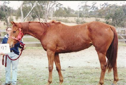 Ʈ���ÿ��� ����