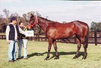 �丣�þȷ��� (PERSIAN LAD) ����