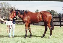 �÷����� (PLAY COOL) ����