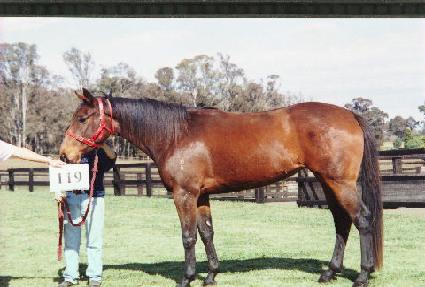 ���� ����