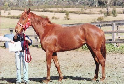 ���帿 ����