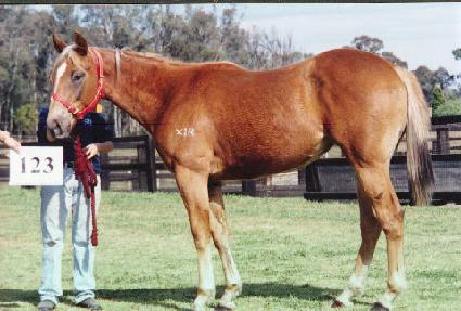 ���̽��� ����