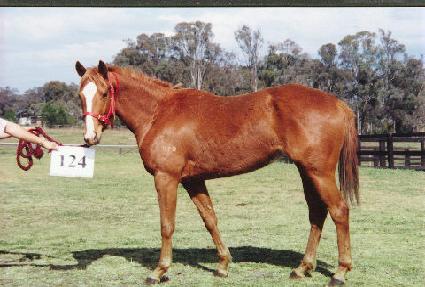 �ڿ� ����