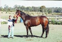 �������� (ODELIA) ����