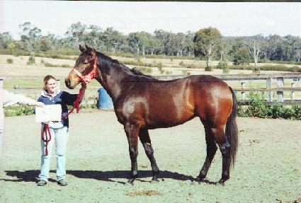 �������� ����