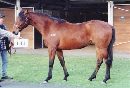 ��� ����