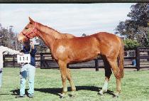 ������̺� (BLUE WAVE) ����