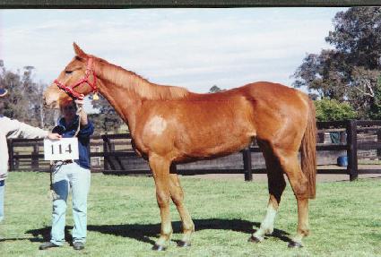 ������̺� ����