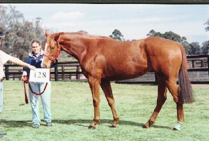 ��������۷��� ����