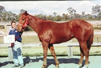 ����Ʈ���̳����� ����