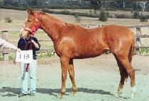 ���� (OKSEOK) ����