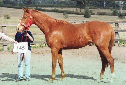 ���� ����