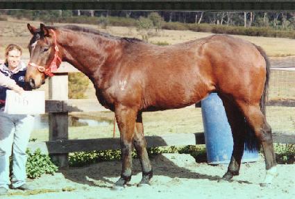 �簣���� ����