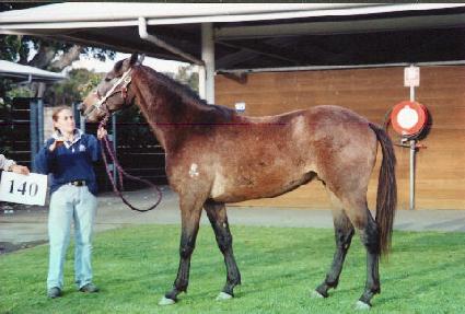 ���÷��� ����