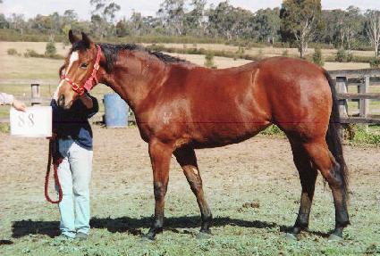 �׸��Ŀ� ����