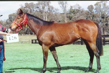 ������ ����